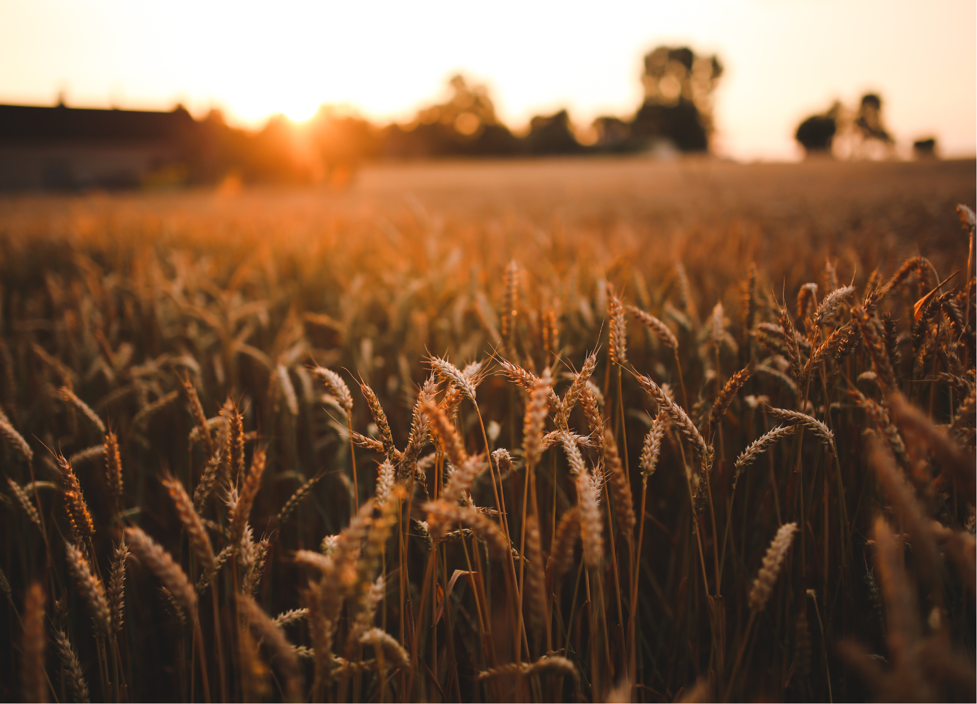 Close up of mans hands typing on laptop. local insurance agency.