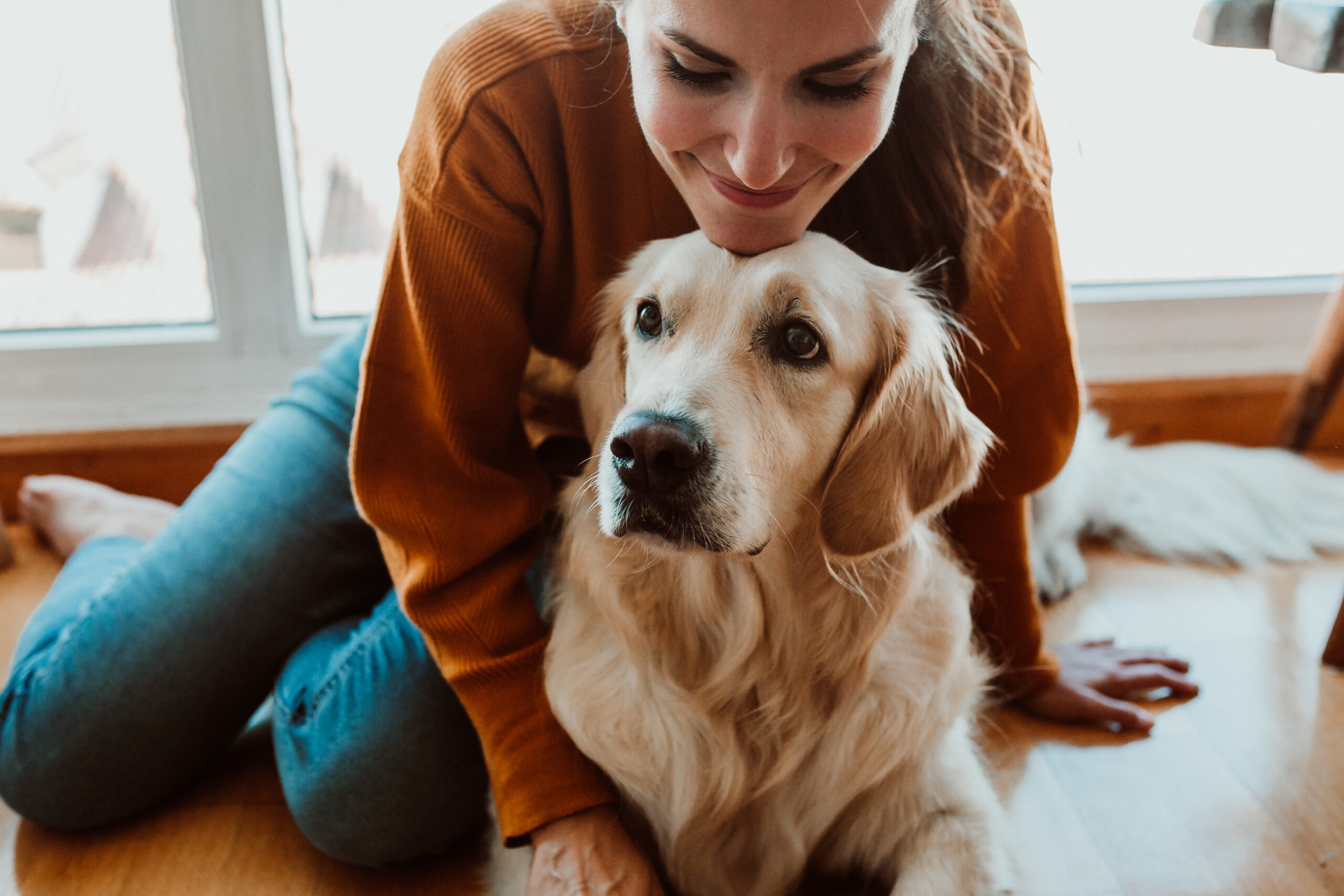 Pet Insurance</p>
<p>young woman petting her golden retriever dog